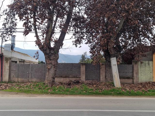 en LIMACHE