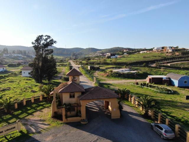 en LIMACHE