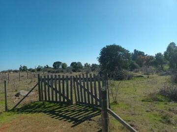en LITUECHE