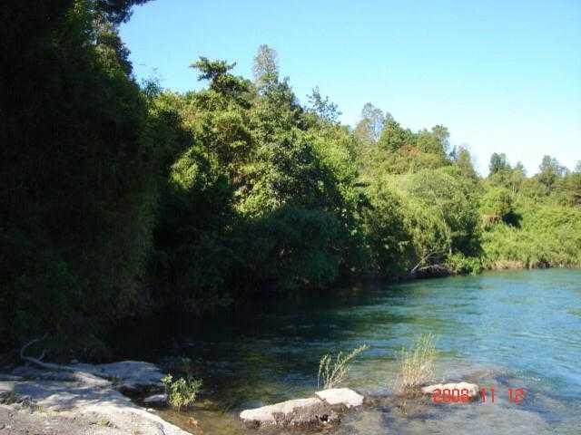 en LOS LAGOS