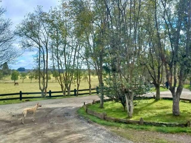 en LLANQUIHUE