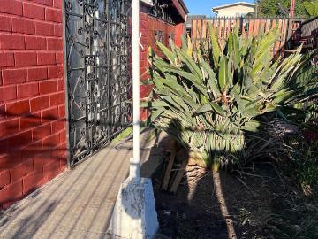 en MAIPÚ
