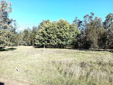 Chacarillas, Maule, Provincia de Talca, Región del Maule