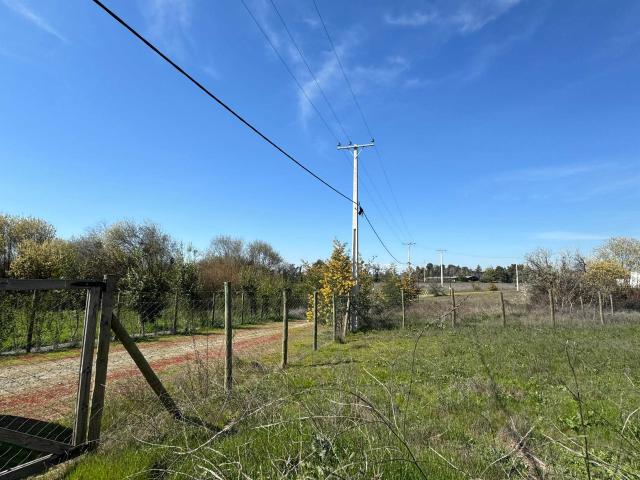 en MAULE
