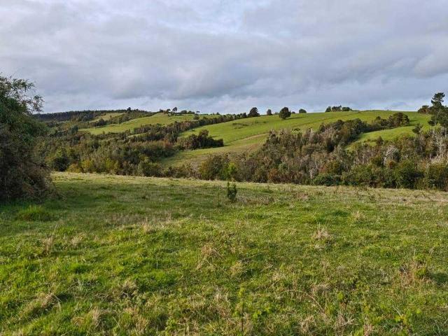 en MAULLÍN