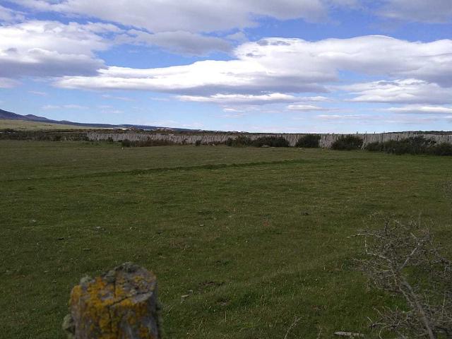 en NATALES