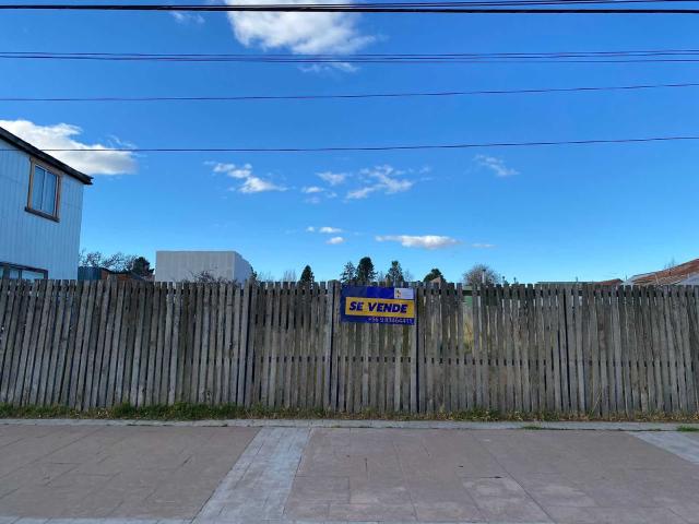 en NATALES