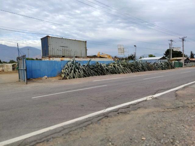en NOGALES