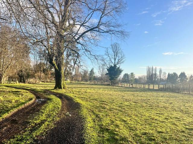 en OSORNO