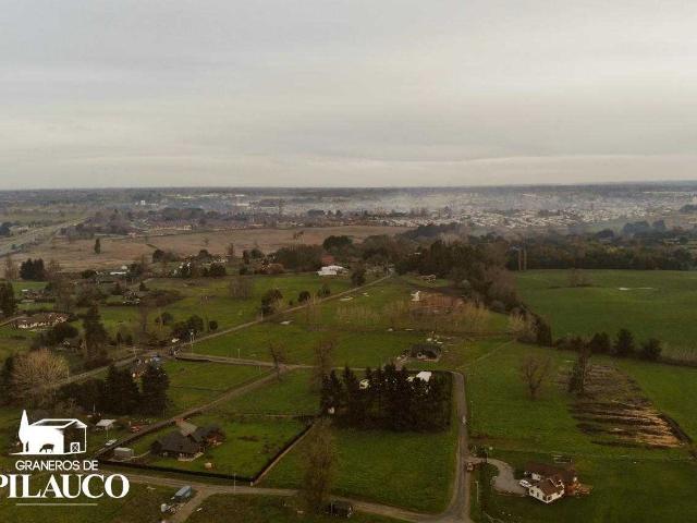 en OSORNO