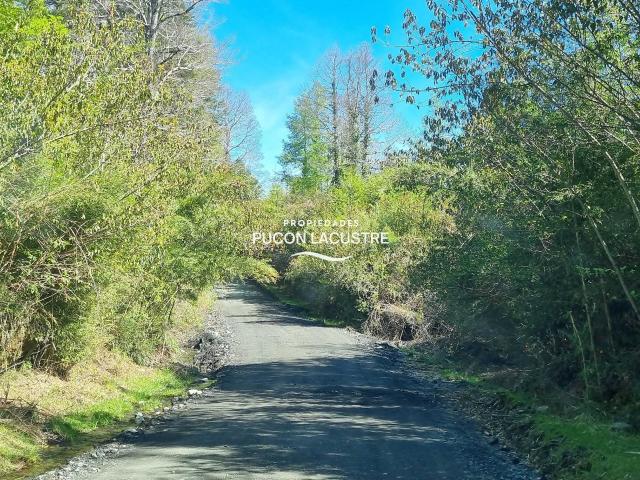 en PANGUIPULLI
