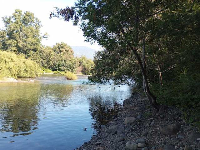 en PANGUIPULLI