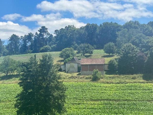 En Périgord Noir, très belle situation pour cette ancienne f. 80m² Thenon