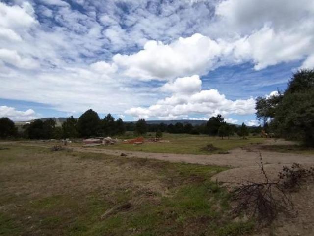 En Pinares Tapalpa