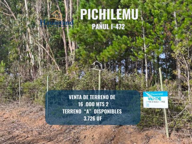 en PICHILEMU