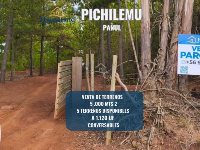 en PICHILEMU