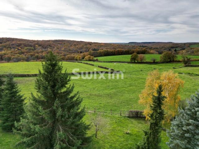 En plein morvan, belle longère rénovée, secteur très calme e. 252m² Avallon