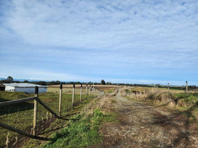 en PUERTO MONTT