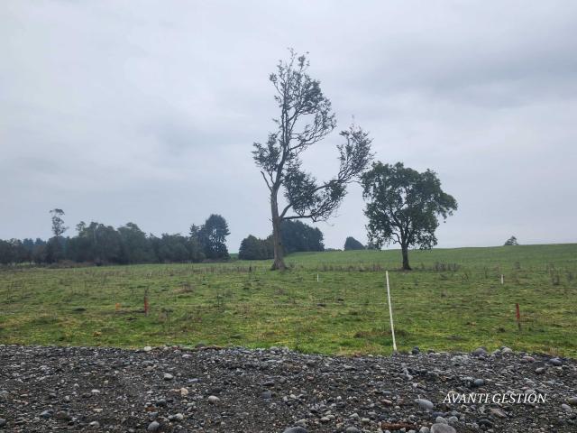 en PUERTO MONTT