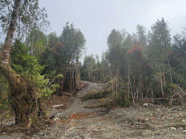 en PUERTO MONTT
