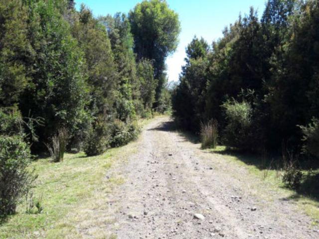 en PUERTO MONTT