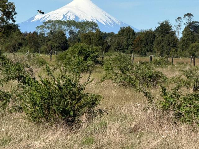 en PUERTO MONTT