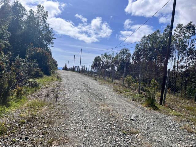 en PUERTO MONTT