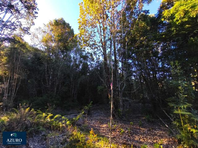 en PUERTO MONTT