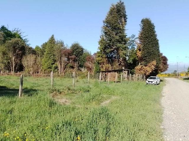 en PUERTO MONTT