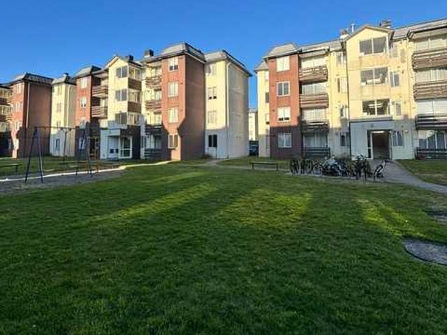en PUERTO MONTT