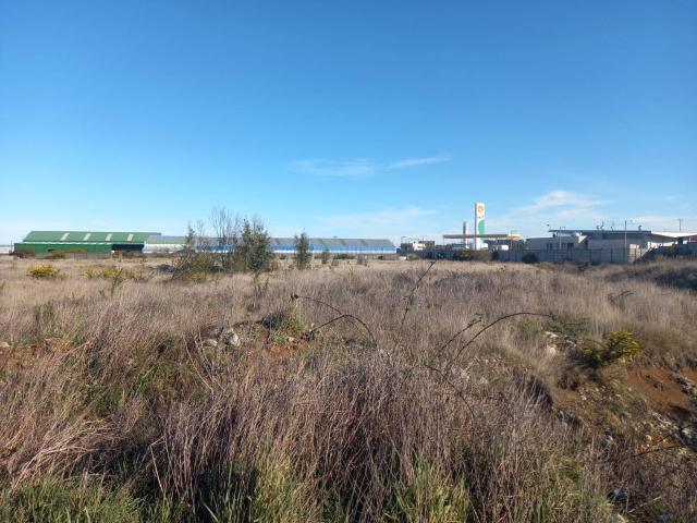en PUERTO VARAS