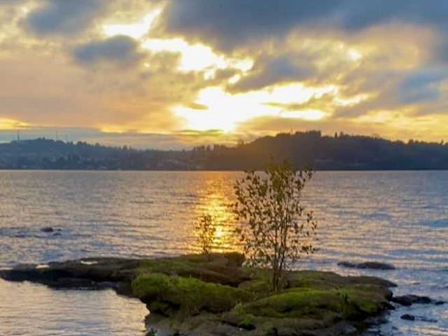 en PUERTO VARAS