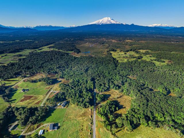 en PUERTO VARAS