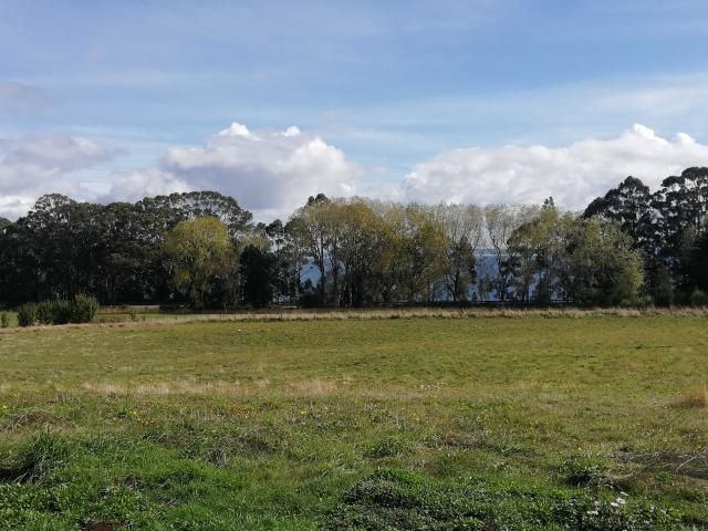 en PUERTO VARAS