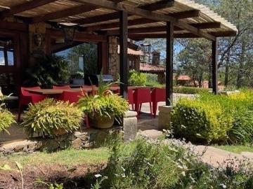 Casa en alquiler en Jalisco - Jardín, Terraza