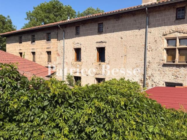 En région Auvergne Rhône Alpes, un ancien presbytère du 18e. 475m² Merle Leignec