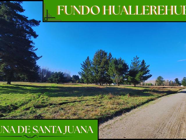 en SANTA JUANA