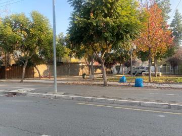 en SAN BERNARDO