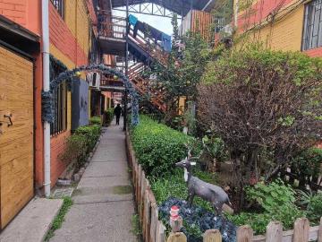 en SAN BERNARDO
