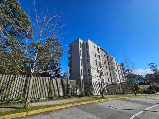 en SAN PEDRO DE LA PAZ