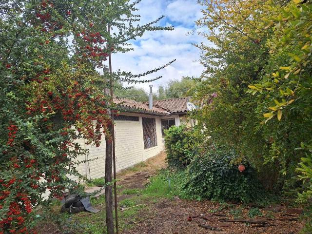 en SAN VICENTE