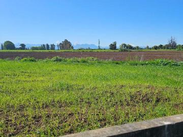 Provincia de Punilla, Región de Ñuble