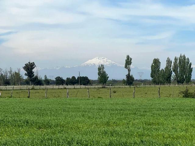 en ÑIQUÉN
