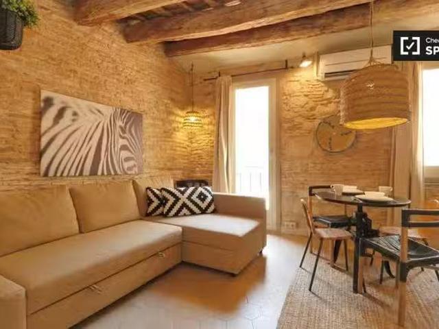 Único Estudio en alquiler en Barri Gòtic, Barcelona