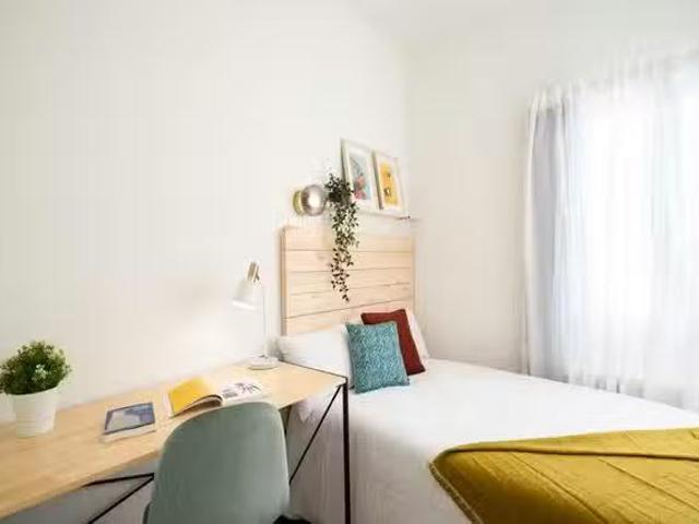 Único Habitación en Calle de los Olivos, Vallehermoso