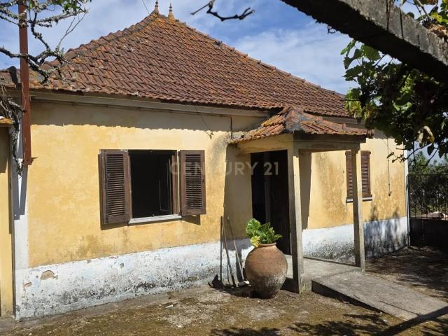 Encantadora Casa Antiga T3 com jardim Perto de Pombal
