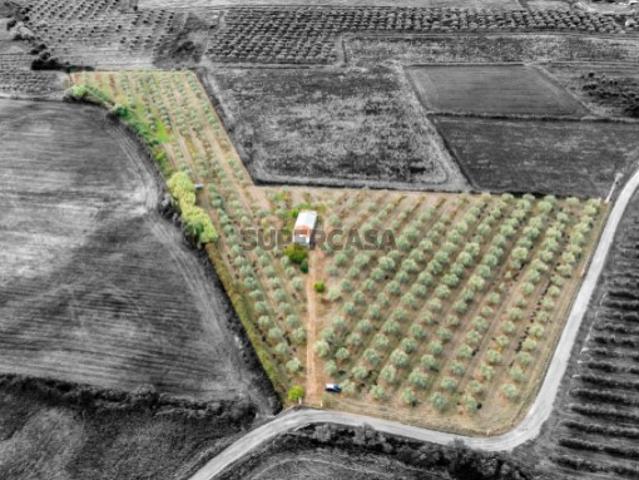 Monte Alentejano em Casa Branca, Sousel 2 Quartos e Vista Campestre