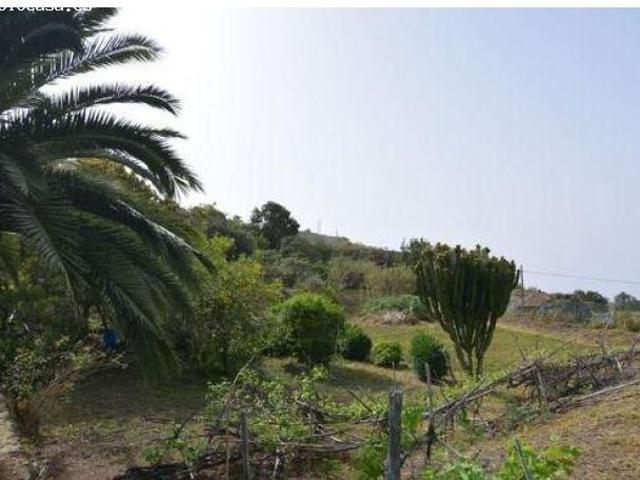 Encantadora Casa Canaria con Vistas al Mar en El Amparo, Icod de los Vinos