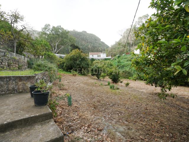 Encantadora Casa Rústica en Teror, Zona del Hornillo, con Amplio Terreno y Vistas Privilegiadas