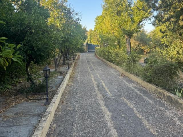 Encantadora finca urbana con dos viviendas en Palomares del Río